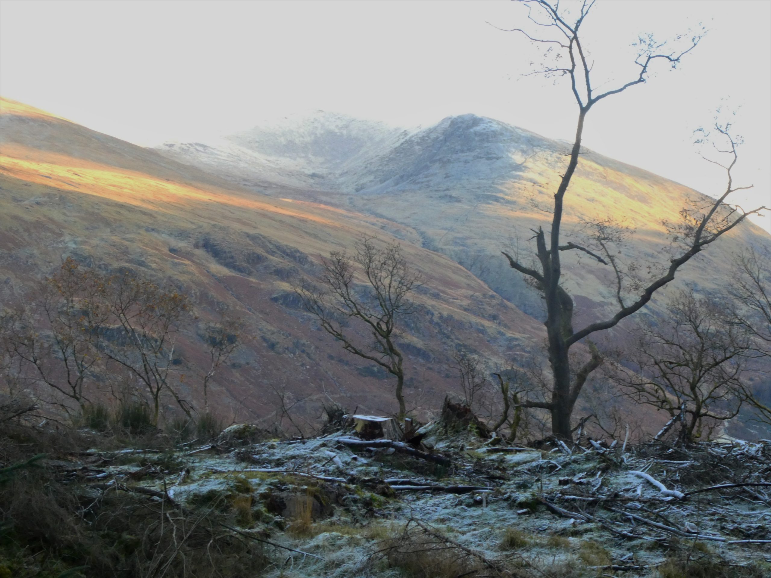 Raven Crag & Thirlmere | Lakeland Walking Tales